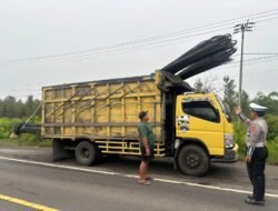 IMG-20250627-WA0187