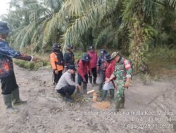 IMG-20250802-WA0132