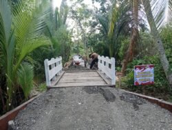 IMG-20250808-WA0019