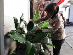 IMG-20250821-WA0026
