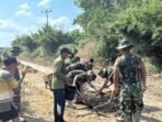 IMG-20260802-WA0050