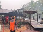IMG-20261007-WA0041